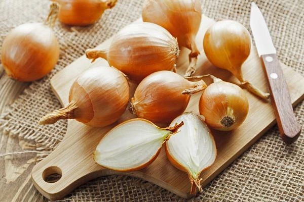 Dehydrated Onion Market - India Overtook the U.S. in Dry Onion Exports in 2014